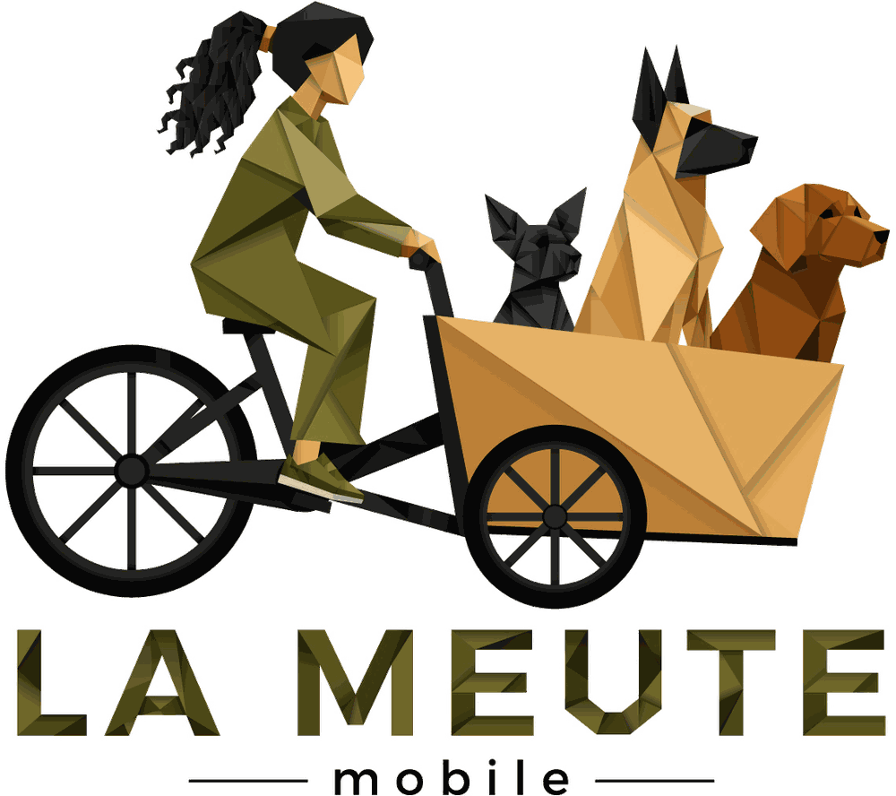 La Meute Mobile : illustration du triporteur avec trois chiens à bord